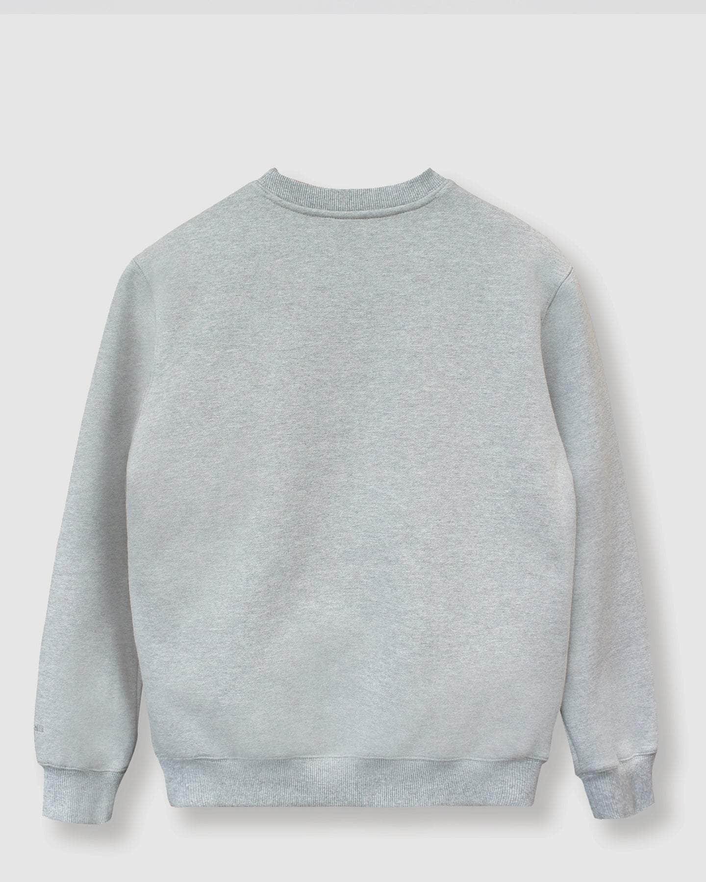 Heavyweight "The New New" Sweatshirt Grey